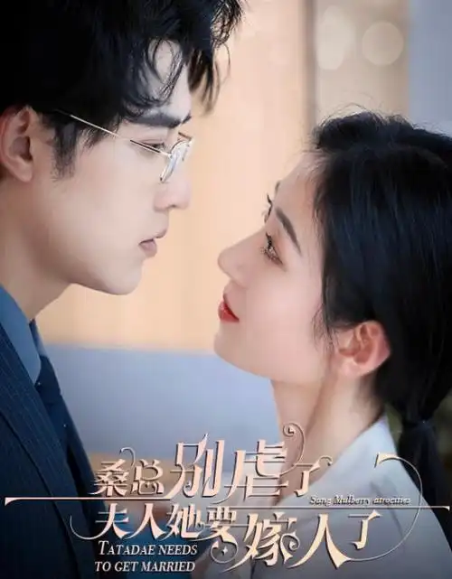 回声档案 全集免费观看
